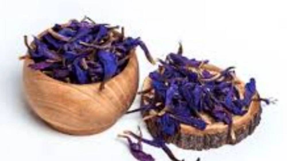 گل گاو زبان گل گاو زبان